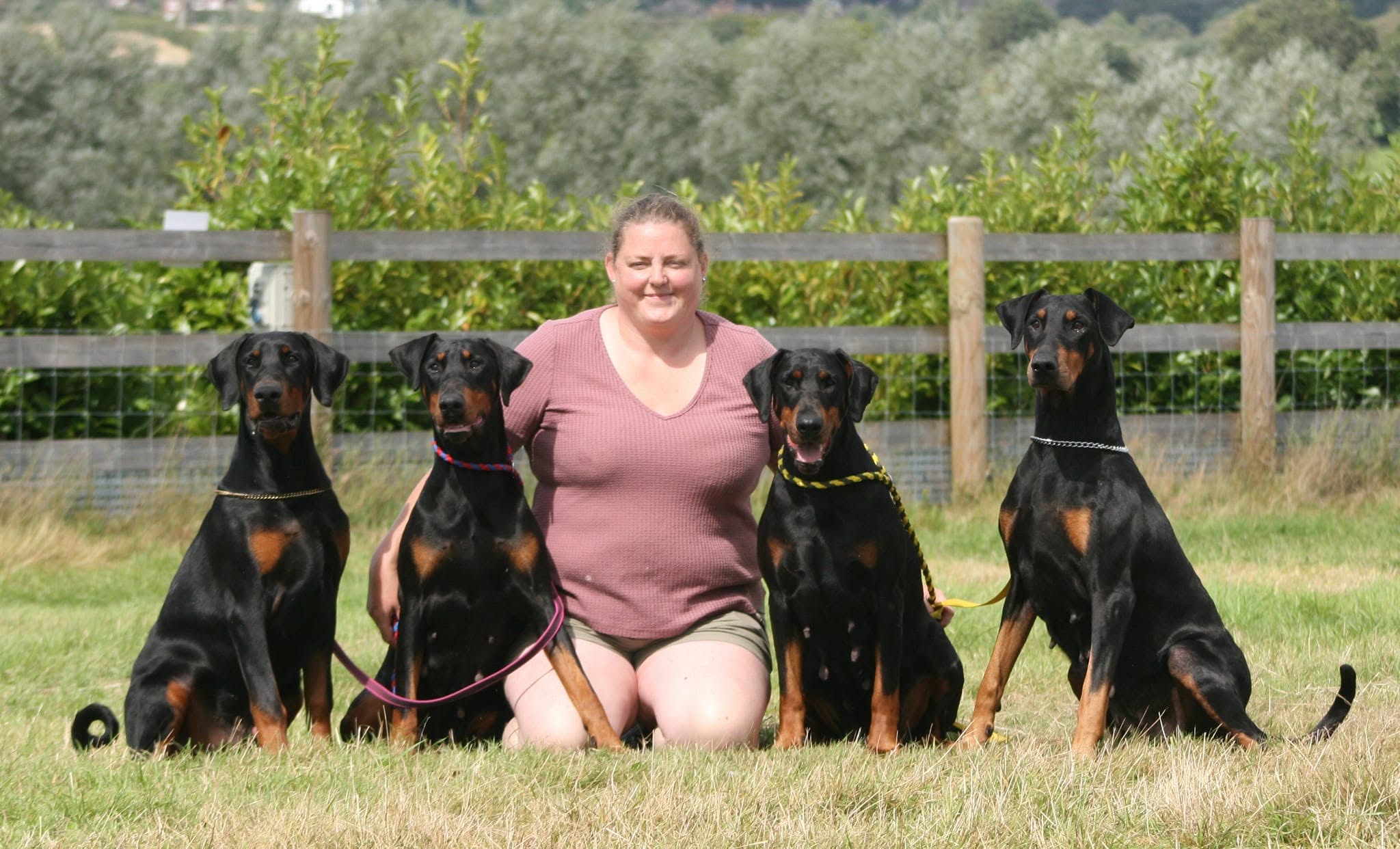Chelsea with four Evalesco Dobermanns